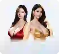Home LIVE CASINO
